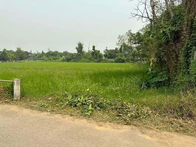 ขายที่ดินตำบลป่าป้องดอยสะเก็ตห่างที่ว่าการอำเภอเพียง 4.5กม