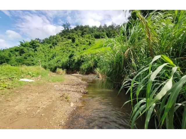ขายที่ดินตำบลเชียงดาวติดลำธารน้ำโฉนดพร้อมโอน
