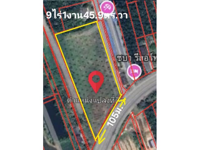 ขายที่ติดโฉนด9ไร่1งาน45.9 ตร.วา ถนนสุราษ-พุนพินใกล้ทักษิณปาล์ม ต.วัดประดู่ เมืองสุราษฎร์ ขาย32,700,000 ติดต่อ0877195045