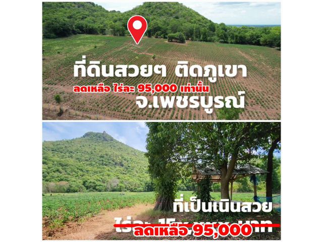 ไร่ละ95,000 ขายที่ดินเนินเขา 28ไร่ ถนนคอนกรีตน้ำไฟ จ.เพชรบูรณ์  ติดภูเขาวิวสวยมาก ลดราคาพิเศษ