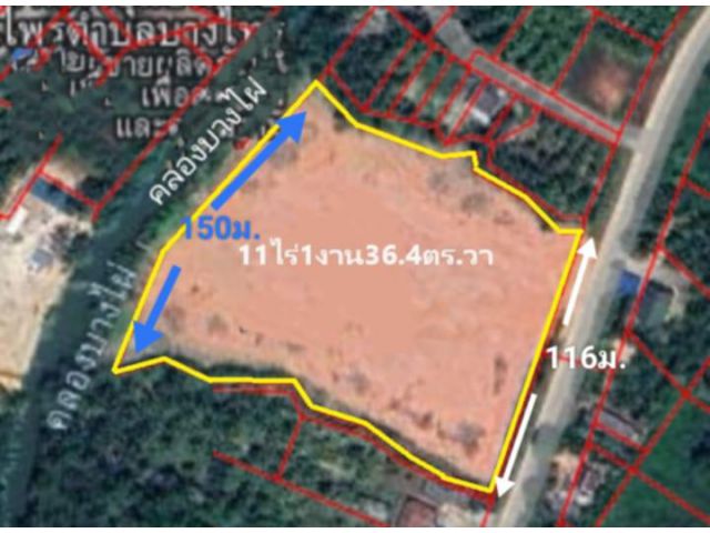 ขายที่โฉนด11ไร่1งาน36.4ตร.วา ถมแล้วติดถนน116 เมตรติดคลองบางไผ่150เมตร อยู่ต.บางไทร เมืองสุราษฎร์ ขาย16,000,000