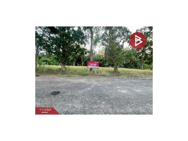 ขายที่ดิน เนื้อที่ 1 งาน บางคนที สมุทรสงคราม