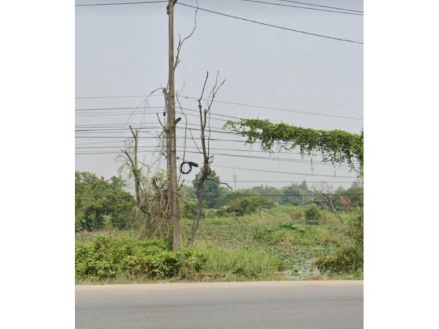 ขายที่ดินติดถนนหลักก่อนถึงสำนักงานที่ดินสันทรายพร้อมโอน
