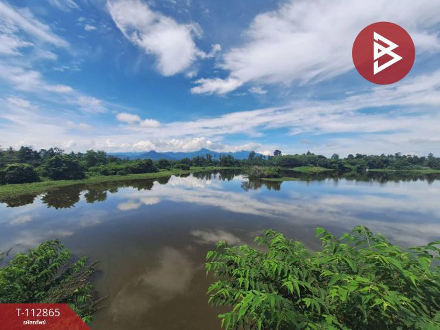 ขายที่ดิน เนื้อที่ 31 ไร่ 42.1 ตร.วา นาทราย นครศรีธรรมราช