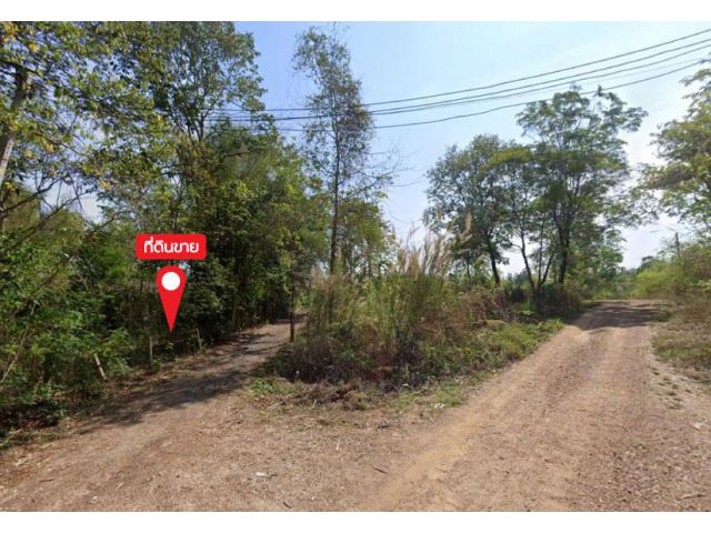 ขายที่ดิน 115 ไร่ บ.สหกรณ์ทุ่งใหม่ ซ.2 ใกล้สถานีไฟฟ้าแรงสูงเชียงใหม่