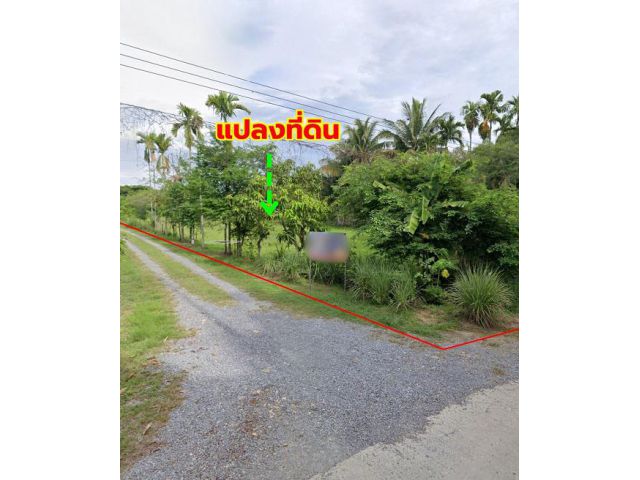 ขายที่ดินแปลงสวย ปากนคร เมืองนครศรีฯ ใกล้ถนนใหญ่ ใกล้เซ็นทรัล เหมาะสร้างบ้าน, สวน หรือรีสอร์ท!
