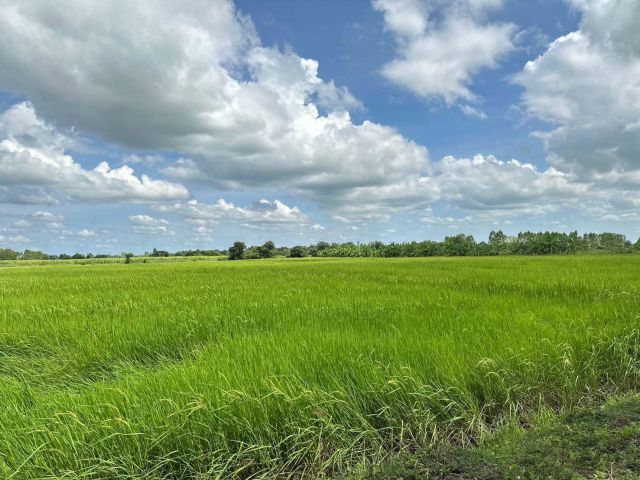 ขายที่นา ติดคลองชลประทาน ใกล้เมืองขอนแก่น – เหมาะทำบ้านสวนหรือทำนา