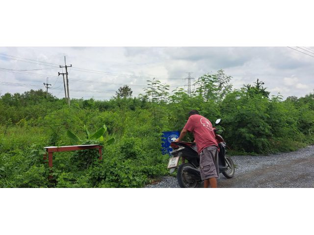 ขายที่ดินในซอยวัดสโมสร  ไทรน้อย  ราคาถูก 100 ตรว.
