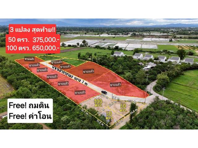 ขายที่ดินเริ่ม50ว. 375ส. สาธารณูปโภค บวกค้าง สันกำแพง เชียงใหม่
