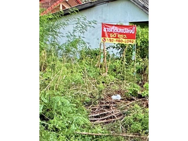 ขายด่วนที่ดินถมแล้ว50ตรว.