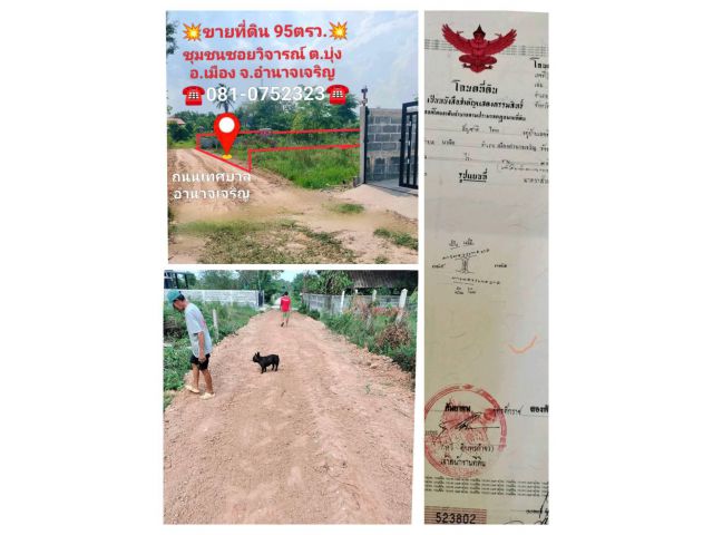 ที่ดินทำเล เหมาะสร้างบ้านสร้างครอบครัว ในตัวเมืองเทศบาลเมืองอำนาจเจริญ