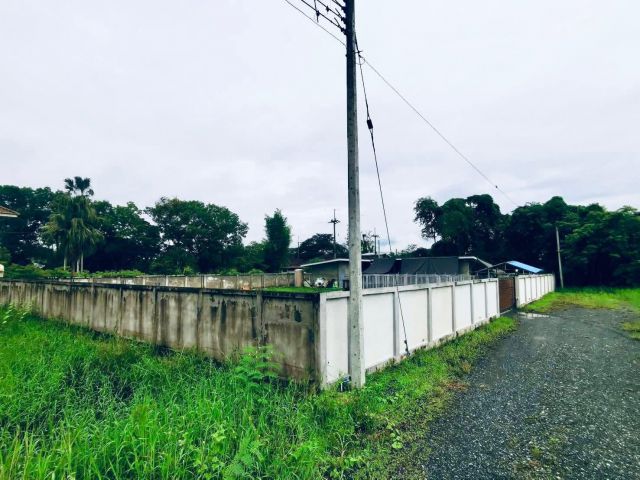 ขายที่ดินตำบลสันปูเลยดอยสะเก็ตใกล้เทศบาลสันปูเลยพร้อมโอน