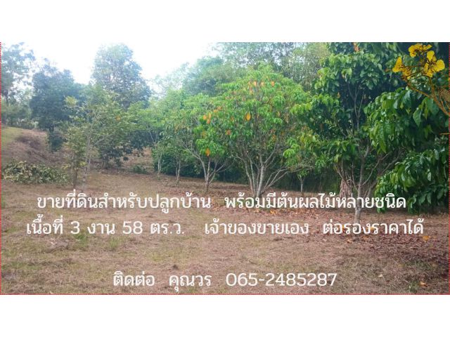 ขายที่ดิน