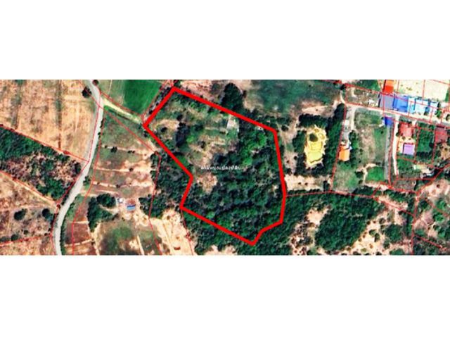 ที่ดิน 10 ไร่ 93 ตร.ว พื้นที่สีม่วง ตำบลสระพัง อำเภอเขาย้อย จังหวัดเพชรบุรี