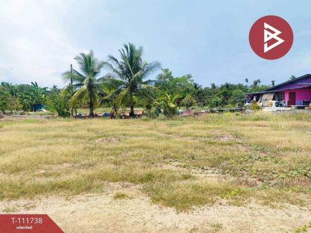 ขายที่ดิน 100 ตร.วา เมือง ฉะเชิงเทรา