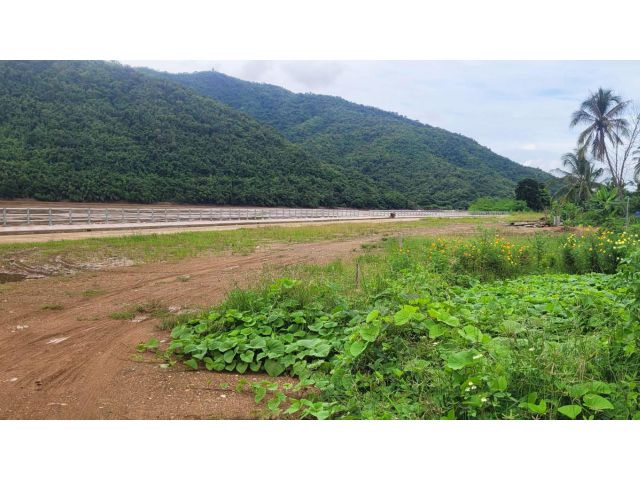 ที่ดินสวยริมน้ำโขงเชียงคาน มีกันทรุดพร้อมเดินเล่นสบายๆ 97 ตรว980,000