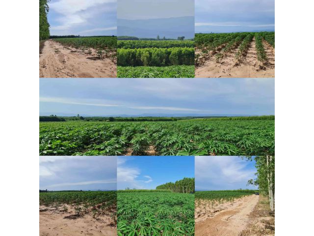 ขายที่ดินวิวเขา – พื้นที่บนเนิน   ตำบลแก่งดินสอ อำเภอนาดี จ.ปราจีนบุรี เนื้อที่ดิน 9 ไร่กว่า