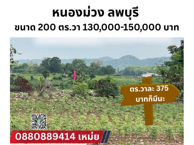 ที่ดิน หนองม่วง ไร่ละ 150000