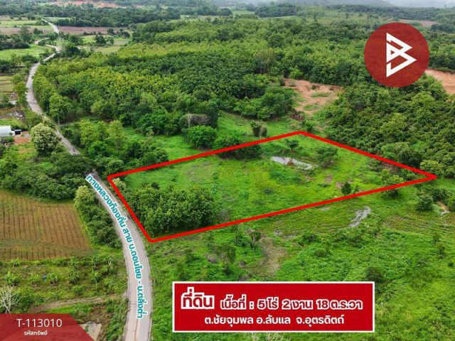 ขายที่ดิน5-2-18.0 ตร.วา (ยกแปลง 8แสน ) อ.ลับแล อุตรดิตถ์