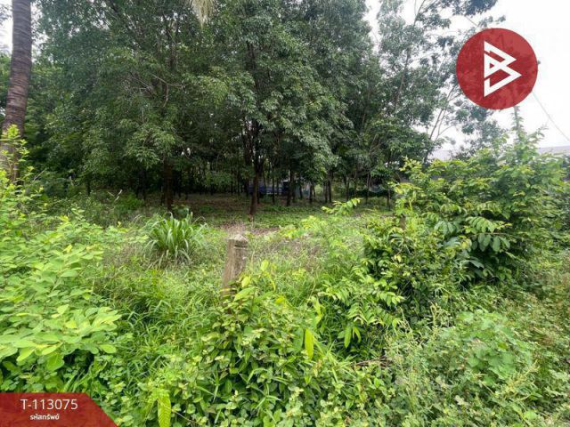 ขายที่ดิน 228.4 ตร.วา เมืองอำนาจเจริญ