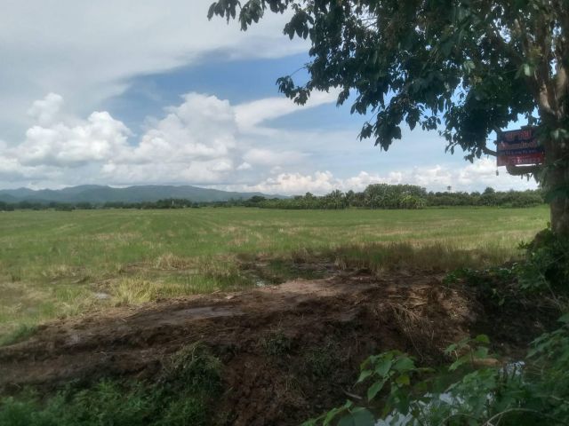 ขายที่ดินติดถนนโชตนา 13 ไร่ 2 งาน 71 ตร.วา