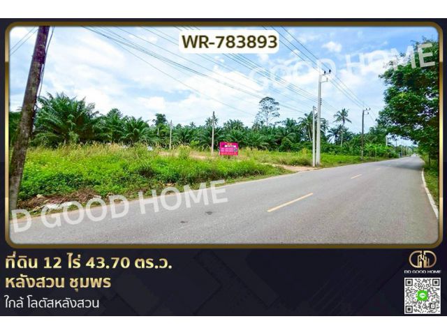 WR-783893 ที่ดิน 12 ไร่ 43.70 ตร.ว. หลังสวน ชุมพร ใกล้ โลตัสหลังสวน