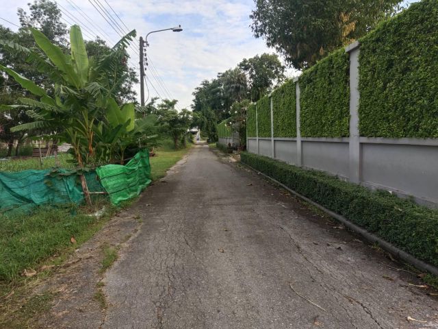 ที่ดินหนองจอก กรุงเทพ