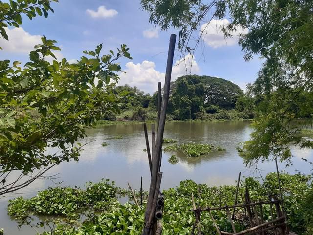 ขายที่ดินทำเลดีบางพลวง 1 ไร่(459ตรว.) ติดแม่น้ำบางปะกง ติดถนน4เลน3481 อ.บ้านสร้าง ปราจีนบุรี