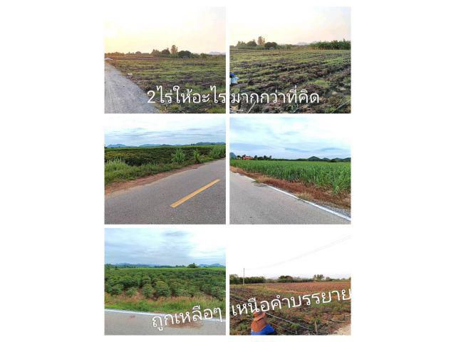 !สนอราคาให้เหลือๆให้จนล้น สำหรับคนที่สนใจแปลงเล็กเพื่อที่อยู่อาศัย ราคาสบายๆสไตล์ชนบทที่สดใส อยู่ร่มเย็นย่อมเป็นสุข
