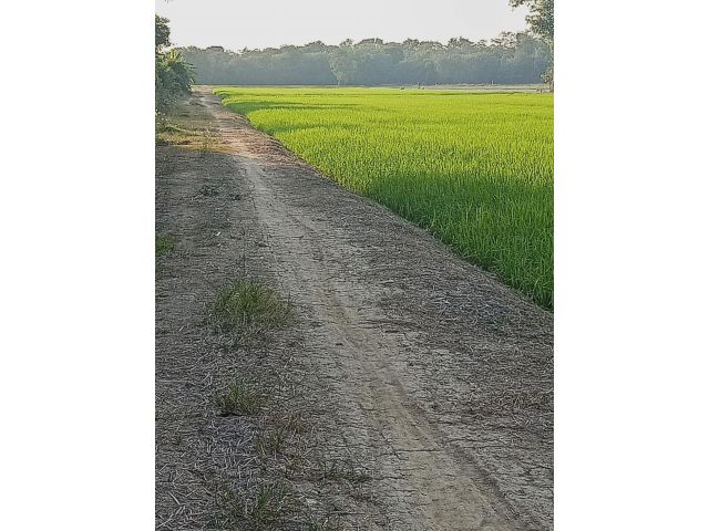 ขายที่ดินเปล่า 10 ไร่ (เจ้าของขายเอง)