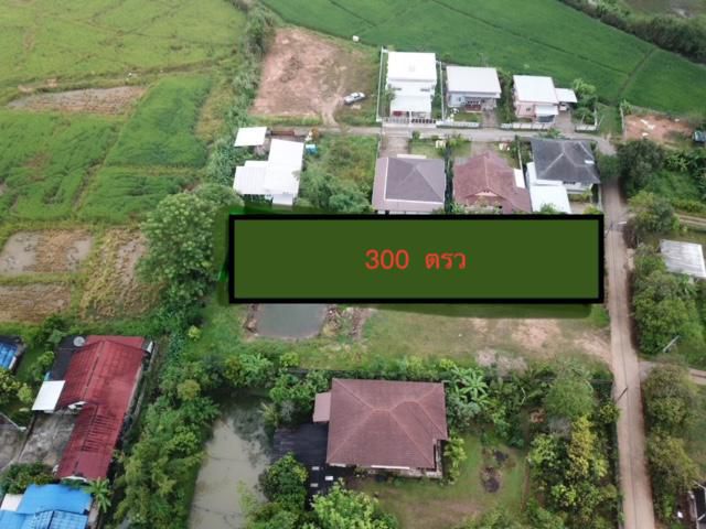 ขายที่ดินสวย 300 ตรว เขตขุมชน หนองด่าน รอบเวียง เชียงราย