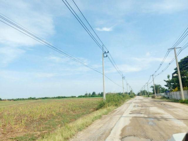 ขายที่ดินทำเลดี ราคาถูกติดถนนลาดยาง ใกล้ถนนมาลียแมน เนื้อที่ 39-1-40ไร่ เหมาะทำธุรกิจโกดังคลังสินค้า หรือ ทำธุรกิจโรงงาน