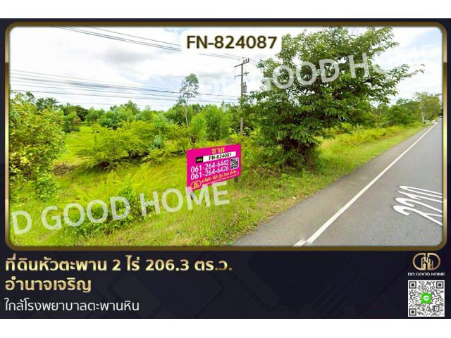 FN-824087 ที่ดินหัวตะพาน 2 ไร่ 206.3 ตร.ว. อำนาจเจริญ ใกล้โรงพยาบาลตะพานหิน