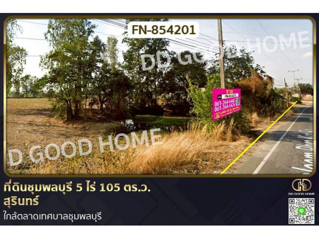 FN-854201 ที่ดินชุมพลบุรี 5 ไร่ 105 ตร.ว. สุรินทร์ ใกล้ตลาดเทศบาลชุมพลบุรี