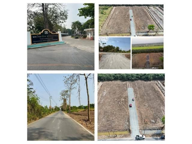 ขายต่ำกว่าราคาประเมิน คลอง13 ธัญบุรีฝั่งลำลูกกา จ.ปทุมธานี