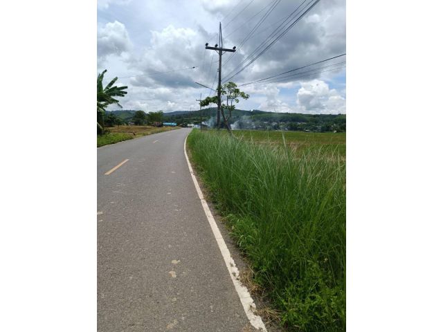 PK857ขายด่วนที่ดินโฉนดครุฑแดงราคาพิเศ ที่ดินงามพื้นที่กว้าง อำเภอ เวียงป่าเป้า จังหวัด เชียงราย ขนาด 14 ไร่ 37 ตารางวา