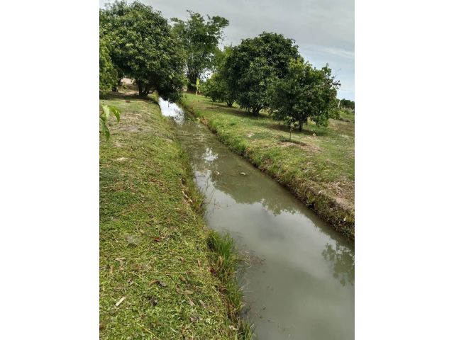 ขายที่ดินสวนมะม่วง 3 ไร่ พร้อมบ้านไม้จริง 1 หลัง หนองหญ้าไซ สุพรรณบุรี