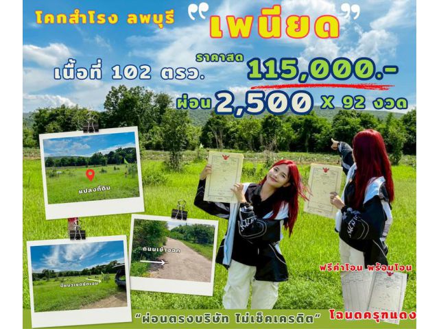 ที่ดิน เพนียด ลพบุรี ขนาด 102 ตร วา สด ผ่อน