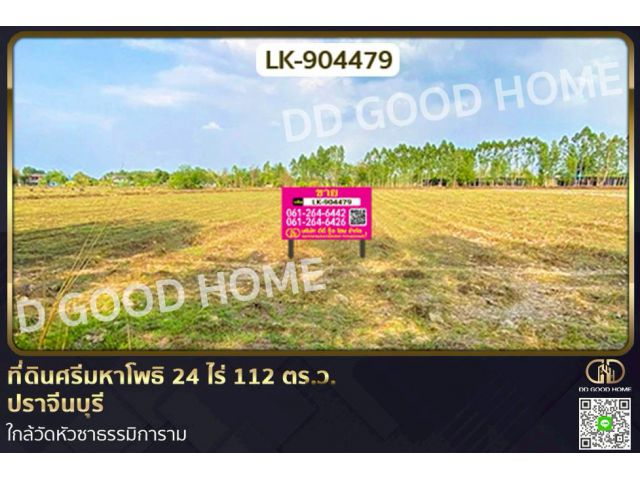 LK-904479 ที่ดินศรีมหาโพธิ 24 ไร่ 112 ตร.ว. ปราจีนบุรี ใกล้วัดหัวซาธรรมิการาม