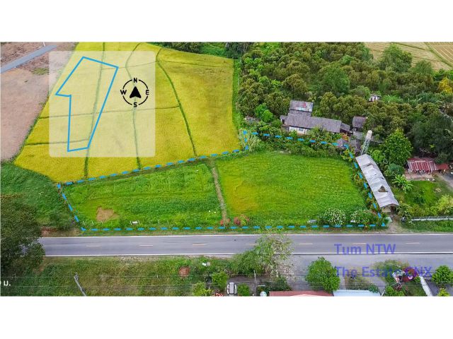 ขายที่ดิน แม่ออน ที่นาแบ่งขาย 200 ตร.ว เชียงใหม่ | Land 200 Sq.wah in Mae On for Sale