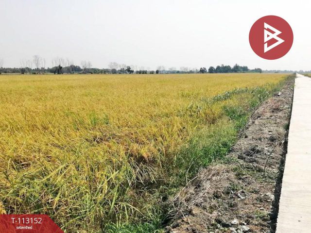 ขายที่ดิน เนื้อที่ 7 ไร่ หนองจอก กรุงเทพมหานคร
