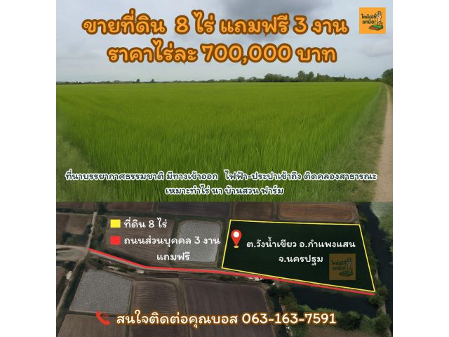 ขายที่ดิน 8 ไร่ แถมฟรี 3 งาน ไร่ละ 7 แสน วังน้ำเขียว กำแพงแสน นครปฐม