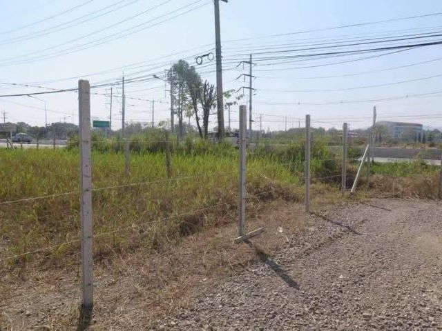 ขายที่ดินตำบลสุเทพติดถนนเลียบคลองชลประทานพร้อมโอน