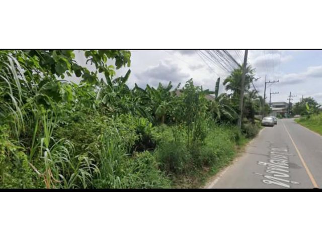 ขายที่ดินบ้านแหวนหางดงห่างกาดฝรั่งเพียง 1 กม พร้อมโอน