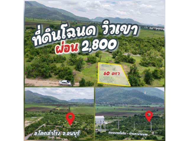 ที่ดินโฉนด 60 ตารางวา โคกสำโรง ลพบุรี ️ผ่อน 2,800 สด179,000