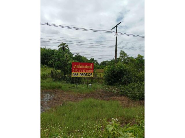 ขายที่ดิน​ อ.รัตภูมิ​ สงขลา​ ติดถนนใหญ่เพชรเกษม