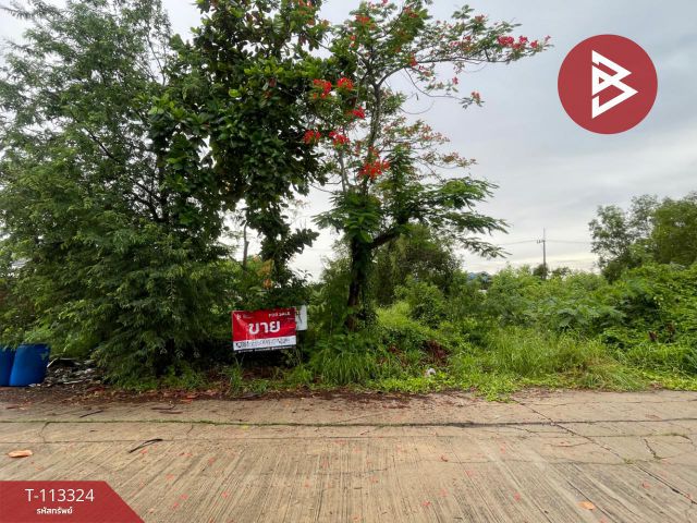 ขายที่ดิน เนื้อที่ 1 งาน หนองเสือ ปทุมธานี