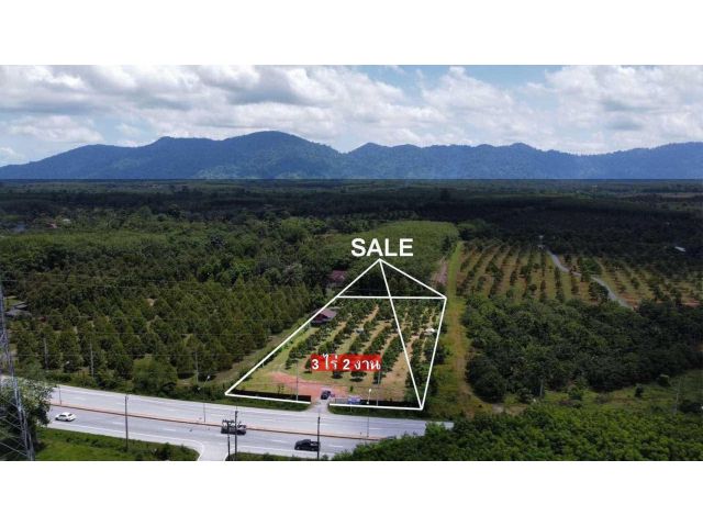 ขายที่ดินติดถนน จังหวัดจันทบุรี สวนทุเรียน เนื้อที่ 3-2-0 ไร่