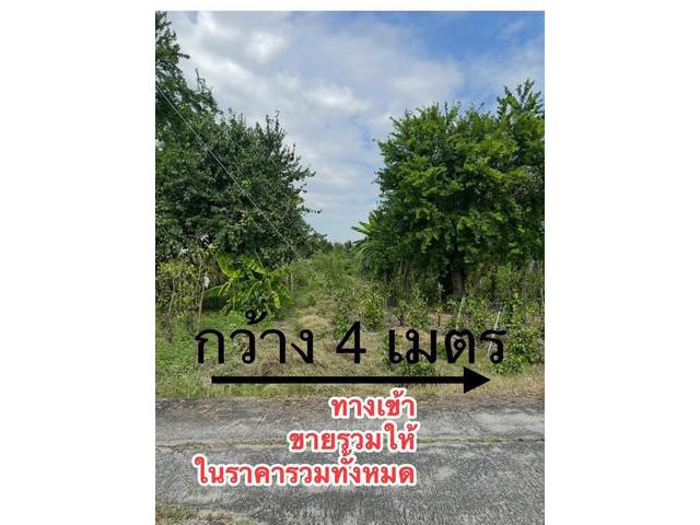 ขายที่ดินอำเภอบ้านหมอ ขายที่ดินสระบุรี ขายที่ดินตำบลหนองบัว ขาย2ไ
