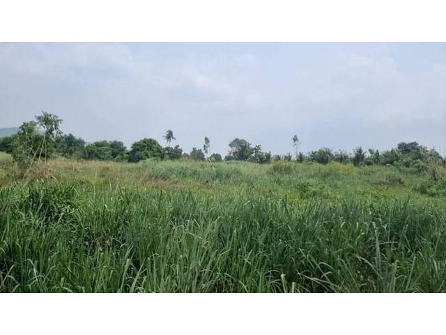 ขายที่ดินหุบบอน หนองขาม ศรีราชา ชลบุรี